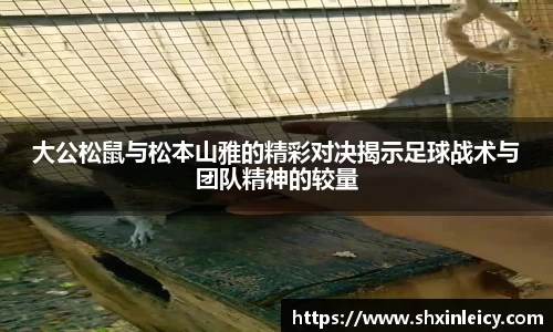 谈球吧